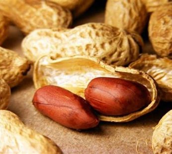 MANI CON CASCARA X 100GR