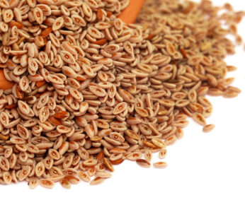 SEMILLA DE PSYLLIUM