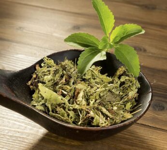 STEVIA HOJAS X 100GR